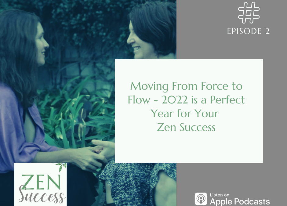 Moving from Force to Flow – 2022 Is a Perfect Year for Your Zen Success